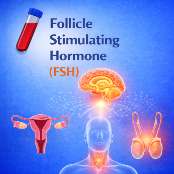 Follicle Stimulating Hormone (FSH)